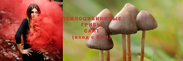 мдма Ладушкин