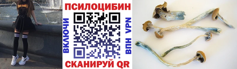 Купить где  Новая Усмань  Галлюциногенные грибы прущие грибы 